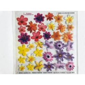 Folie Sospeso Trasparente- Little Red Flowers